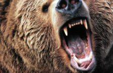 Secular Bear Market?