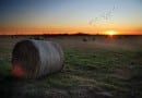 farmland farmland