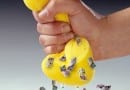 Squeeze Squeeze