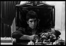 The Bad Guy The Bad Guy