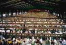 factory.jpg factory.jpg