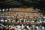 More on the China-bearish ‘factor mobilisation story’