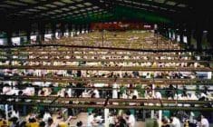 factory.jpg