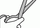 cut cut