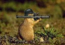 bazooka bazooka