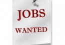 jobs wanted jobs wanted