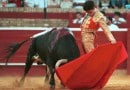 Bullfight Bullfight