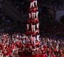 Casteller Casteller
